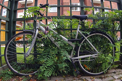 Zenitar Bicycle