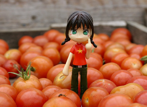 Tomato Achiko