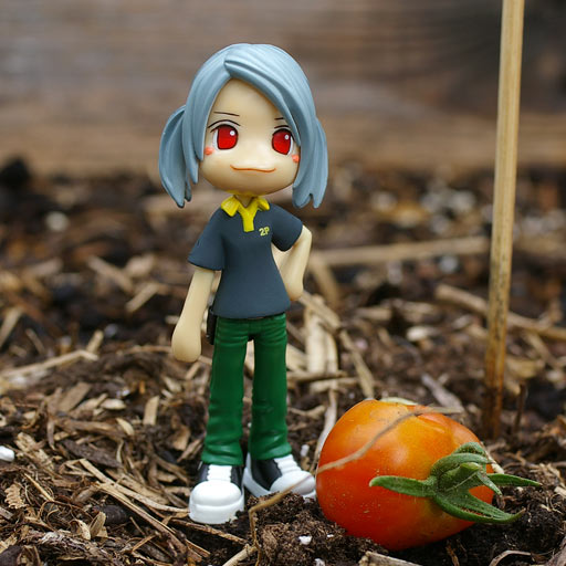 Yoshiko 2P Tomato