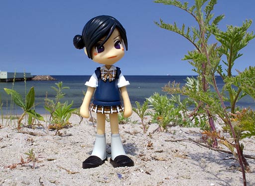 Kokoro at the beach